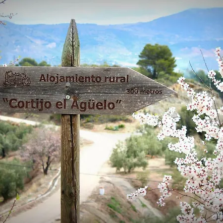 Rural El Agueelo Farm stay